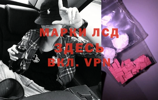 mdpv Вяземский