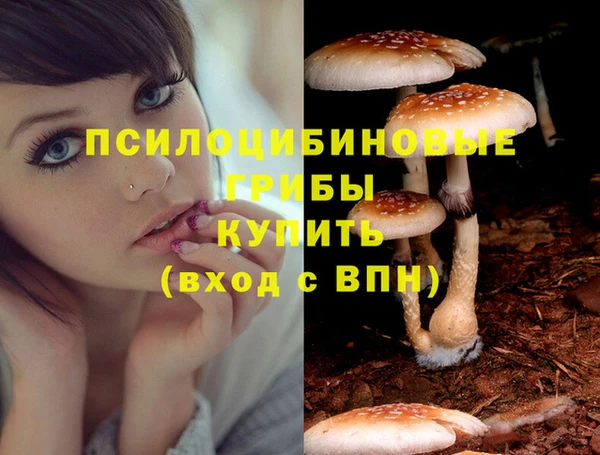 mdpv Вяземский