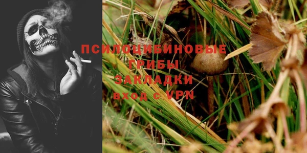 mdpv Вяземский