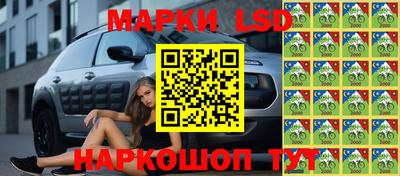 хмурый Краснознаменск