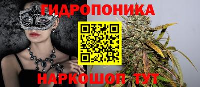 хмурый Краснознаменск