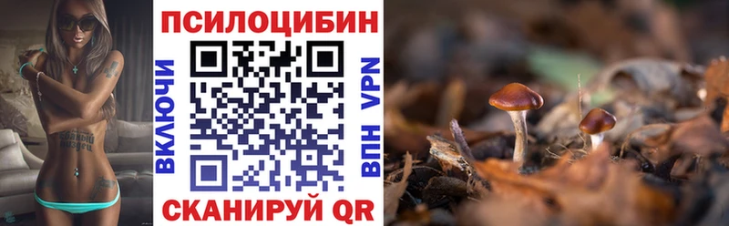 Галлюциногенные грибы GOLDEN TEACHER Заводоуковск