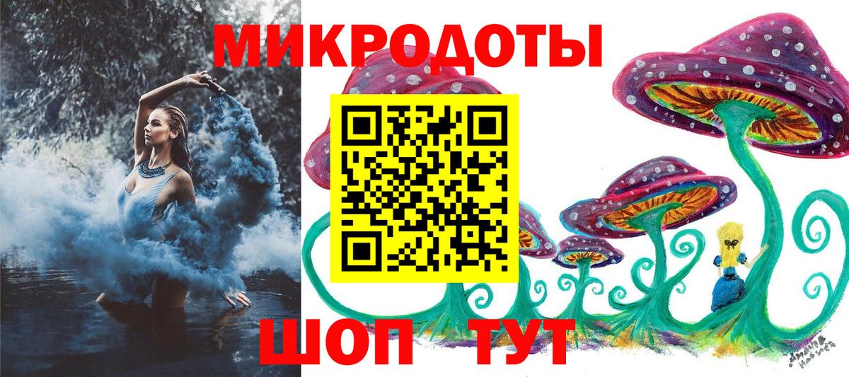 Псилоцибиновые грибы мицелий Заводоуковск