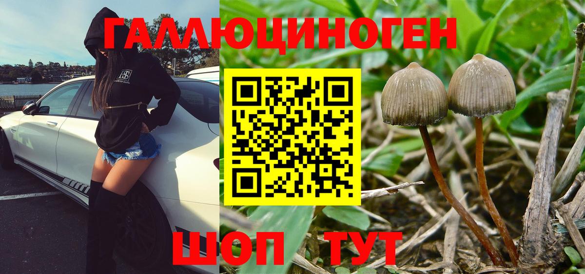Псилоцибиновые грибы GOLDEN TEACHER  Вход с VPN  Заводоуковск 
